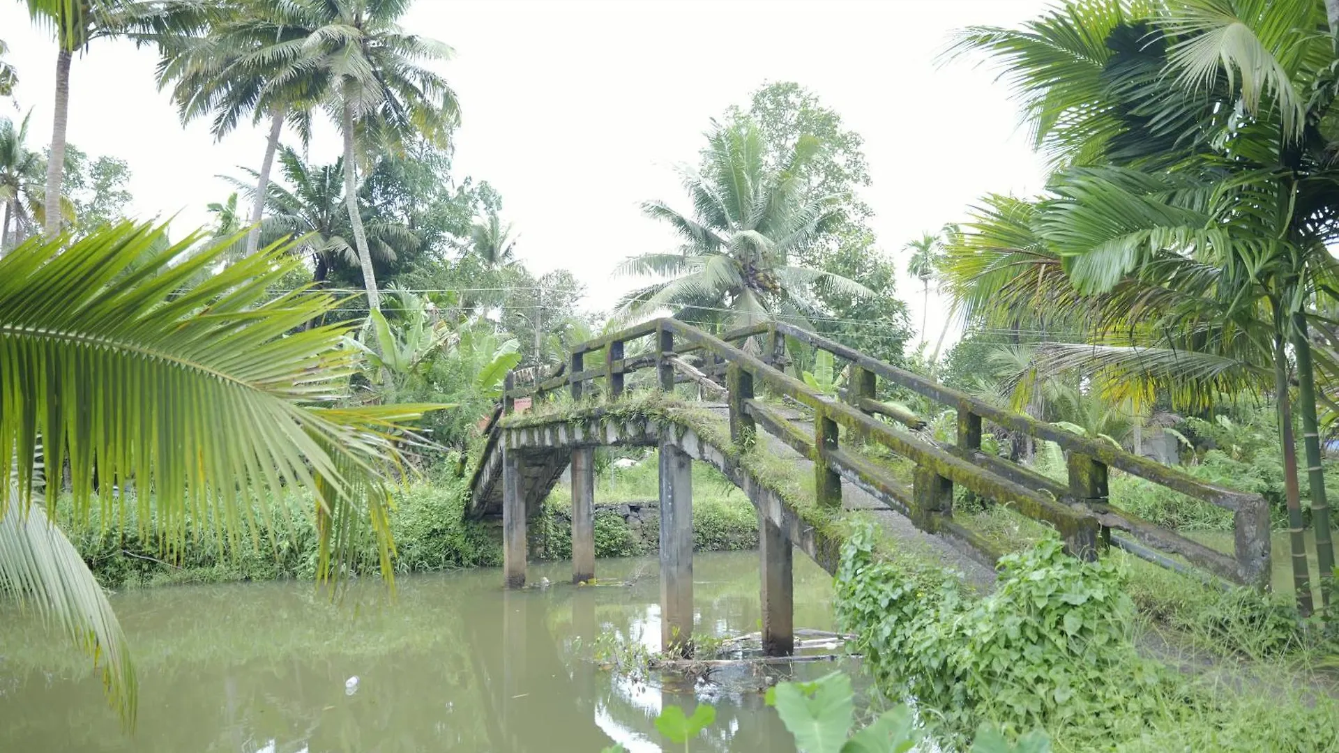Neelambari Apartment Kumarakom Homestay