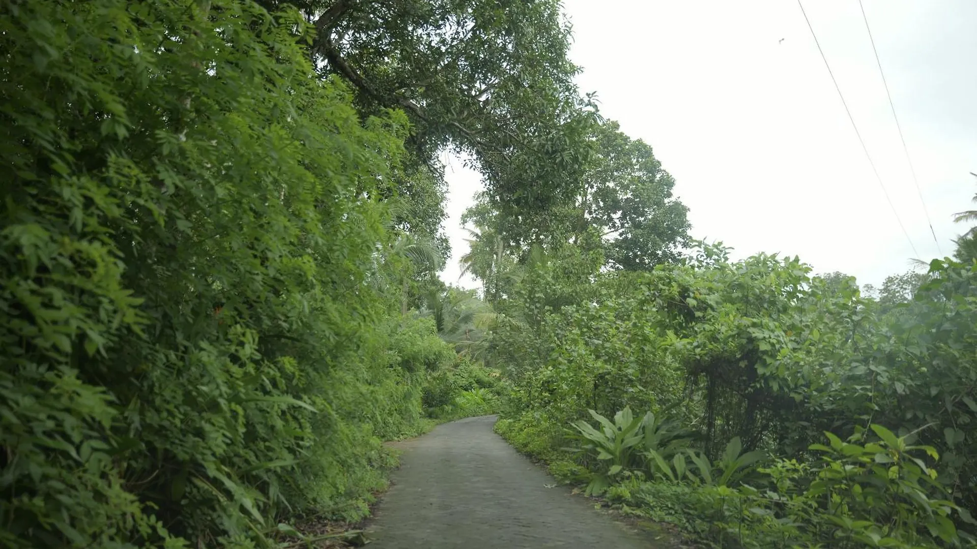 Homestay Neelambari Apartment Kumarakom India